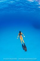 Freediving In The Blue, Cayman Islands