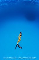 Freediving In The Blue, Cayman Islands