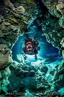 Diving In Coral Caverns, Cayman Islands