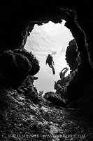 Diving In Coral Caverns, Cayman Islands