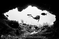 Diving In Coral Caverns, Cayman Islands
