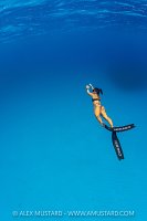 Freediving In The Blue, Cayman Islands