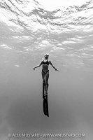 Monochrome Freediver, Cayman Islands
