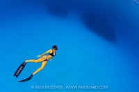Freediving In The Blue, Cayman Islands