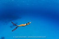 Freediving In The Blue, Cayman Islands