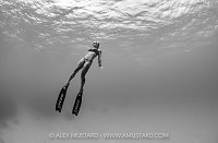 Monochrome Freediver, Cayman Islands