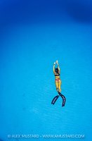 Freediving In The Blue, Cayman Islands