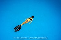 Freediving In The Blue, Cayman Islands