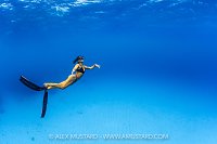 Freediving In The Blue, Cayman Islands