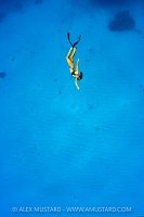 Freediving In The Blue, Cayman Islands