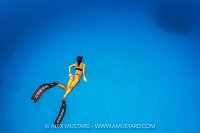 Freediving In The Blue, Cayman Islands