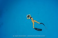 Freediving In The Blue, Cayman Islands