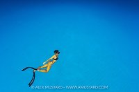 Freediving In The Blue, Cayman Islands