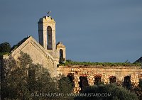 White Stork, Portugal