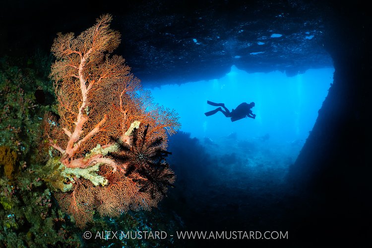 Tolberone Tunnel, Indonesia