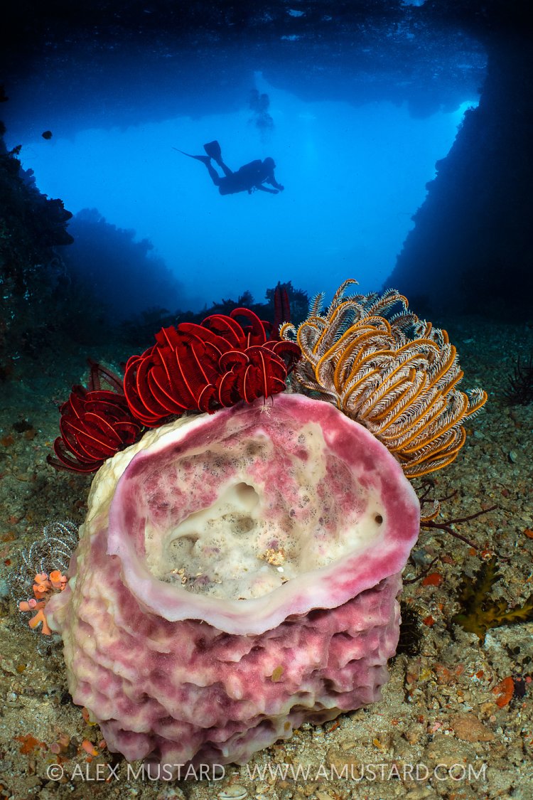 Tolberone Tunnel, Indonesia