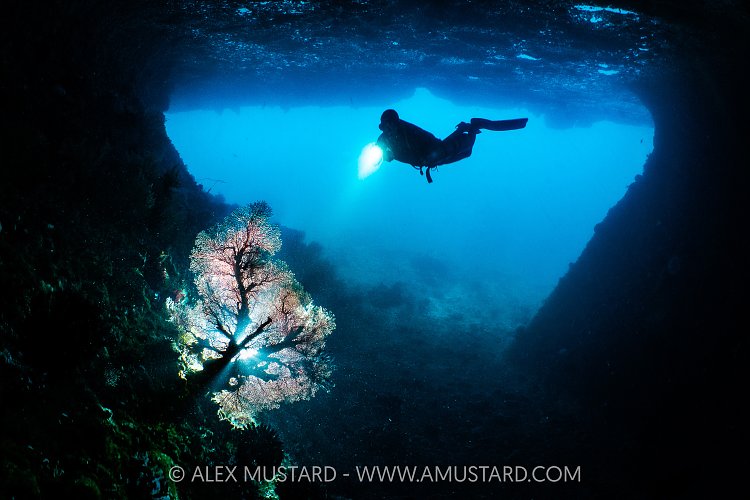Tolberone Tunnel, Indonesia