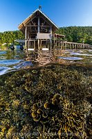 Corals And Jetty, Indonesia