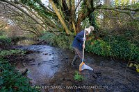 River Fly Survey, UK