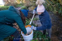 River Fly Survey, UK