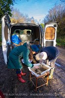 River Fly Survey, UK