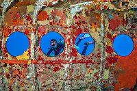 Diving The Kittiwake