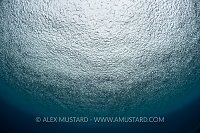 Underwater Rain. Indonesia