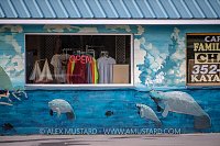 Manatee Painting. USA