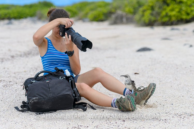Photographing The Locals. Galapagos