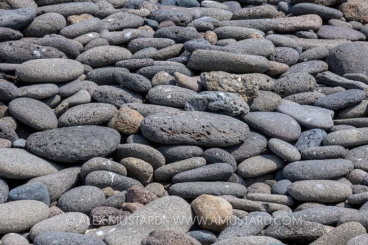 Lava Rocks. Galapagos