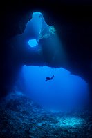 Diver In Blue Holes. Palau