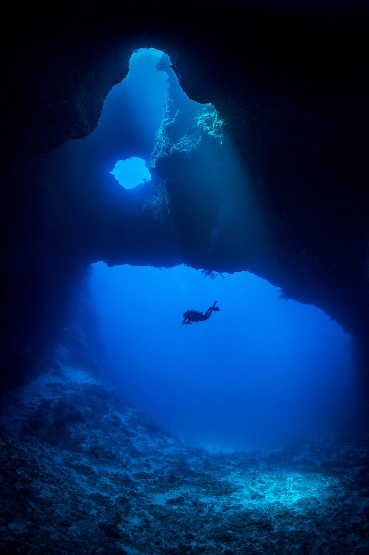 Diver In Blue Holes. Palau