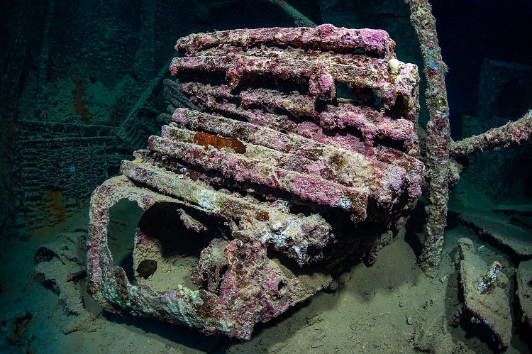 Beds On Thistlegorm. Egypt
