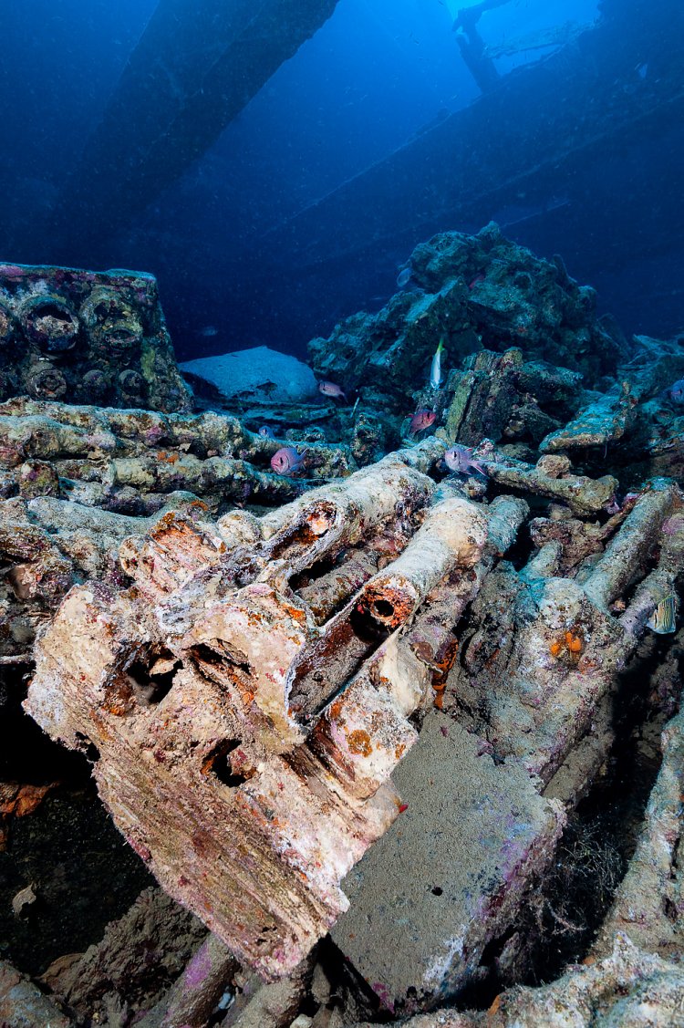 Rifles On Thistlegorm. Egypt