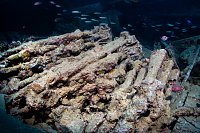 Rifles, Thistlegorm. Egypt