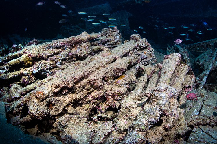 Rifles, Thistlegorm. Egypt