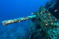 Thistlegorm Gun. Egypt