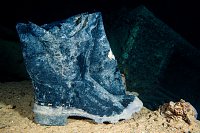 Welly. Thistlegorm. Egypt