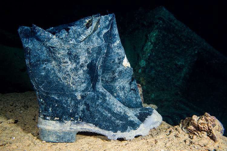 Welly. Thistlegorm. Egypt