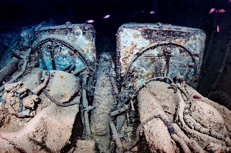 Albion AM 463. Thistlegorm, Egypt