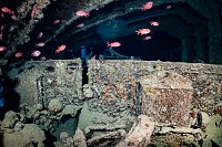 Albion Lorry. Thistlegorm. Egypt