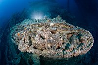 Bren Gun Carrier. Thistlegorm. Egypt
