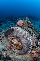 Unidentified Vehicle Parts. Thistlegorm. Egypt