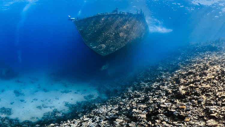 Stern Of Million Hope Wreck. Egypt