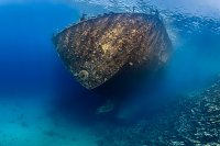 Stern Of Million Hope Wreck. Egypt