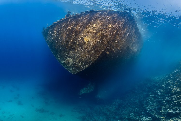 Stern Of Million Hope Wreck. Egypt