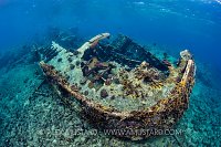 Wreck On Reef. Philippines