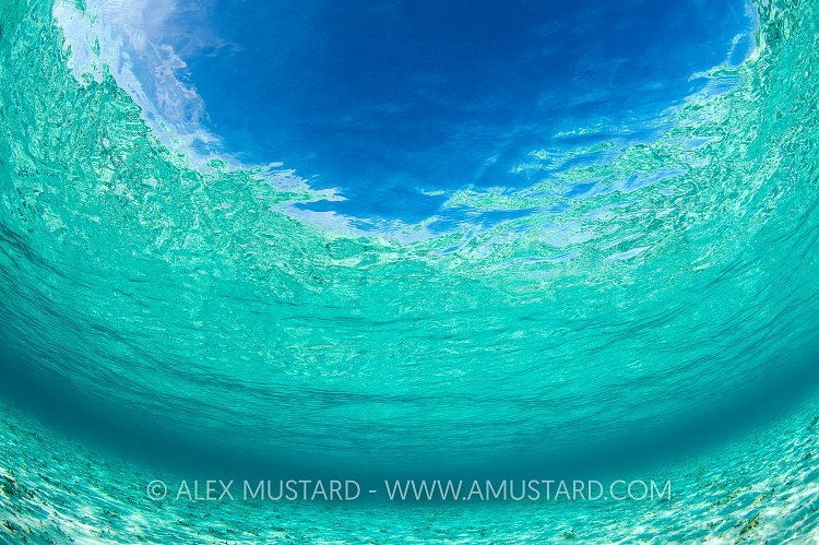 Shallow Water. INdonesia