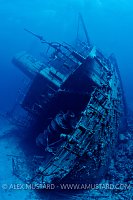 Giannis D Stern. Egypt