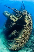 Giannis D Stern. Egypt